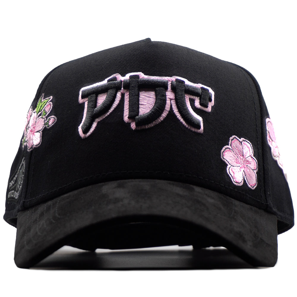 PDC JAPON