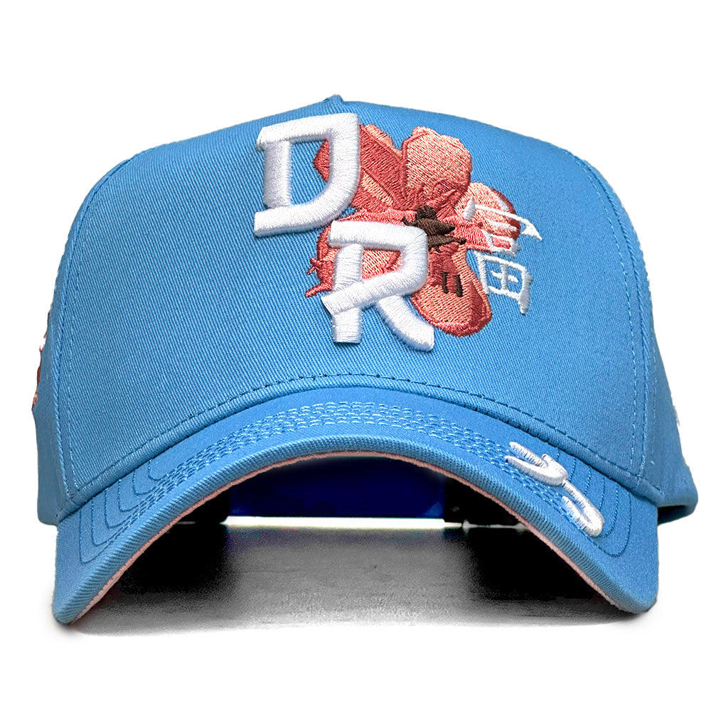 Dreamer Kanji V1