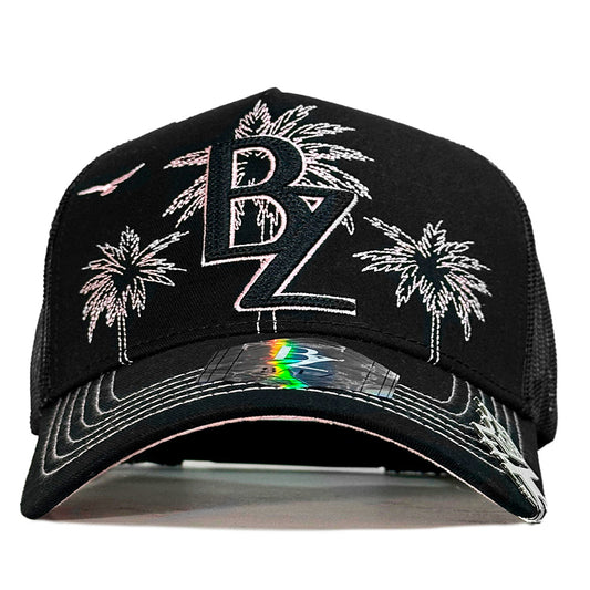 Baez Ocean Drive