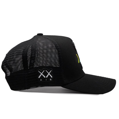 Kaws Money