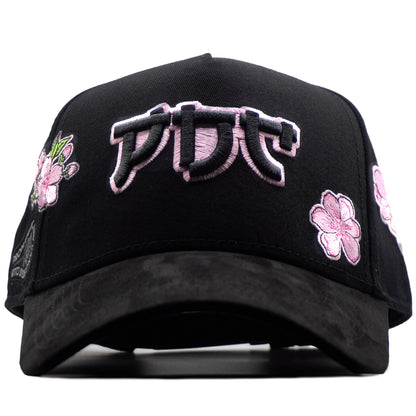 PDC JAPON