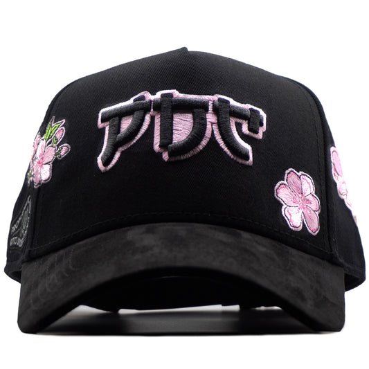 PDC JAPON